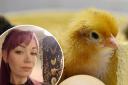 Concerns - Kate Baines has criticised Hamilton Primary School for its chick-hatching programme for 