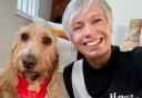 Fun - Dog Rusty and owner Deb Smith will be doing a marathon together next month