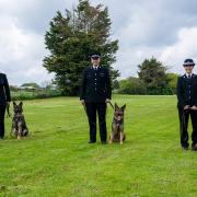New recruits - PC Ben Norfolk, PC Nick Hayter, and PC Liss Johnston with Cooper, Quando, and Obi