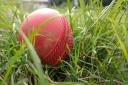 Training - Youngsters are set for sessions with Harwich and Dovercourt Cricket Club