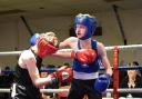 Packing a punch: Harwich Boxing Club's Jack Avery (blue) in action. Picture: TONY YATES