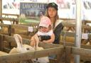 Mia, 9, and sister Millie, 3, looking at long-eared sheep at last year's Tendring Show