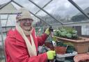 Active - CVST volunteer Carole Hewitt helps at the Dovercourt allotment which she said helps her keep active