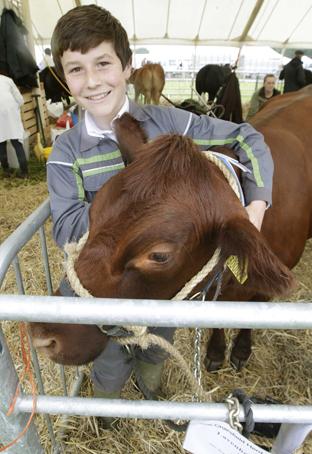 steve brading
14-07-12
The Tendring Show in Manningtree.
Sam Duchesne, 14, with a pedigree Red polls cattle from Lavenham
