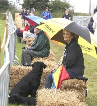 steve brading
14-07-12
The Tendring Show in Manningtree.
umbrella weather for any spectators