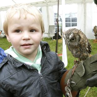 steve brading
14-07-12
The Tendring Show in Manningtree.
Finley Claypole meets a Tropical Screech on the Owls r Us stall on his 3rd birthday