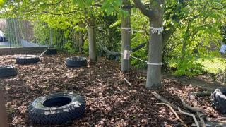 Adventure - Dedham Church of England's Primary's new 'forest area'