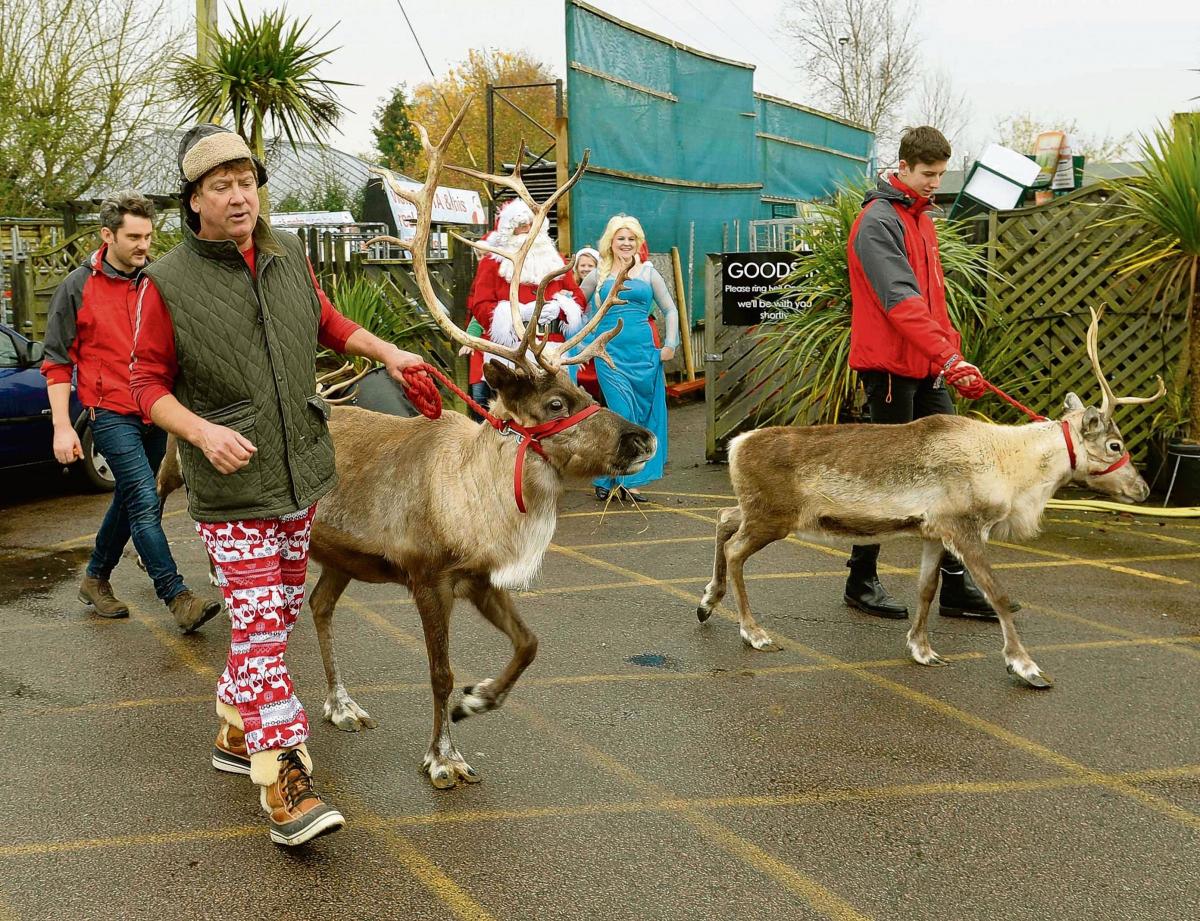 Santa, his reindeer and Elsa from the hit Disney film Frozen arrived in Lawford to waiting crowds at Hearts Delight Garden Centre.