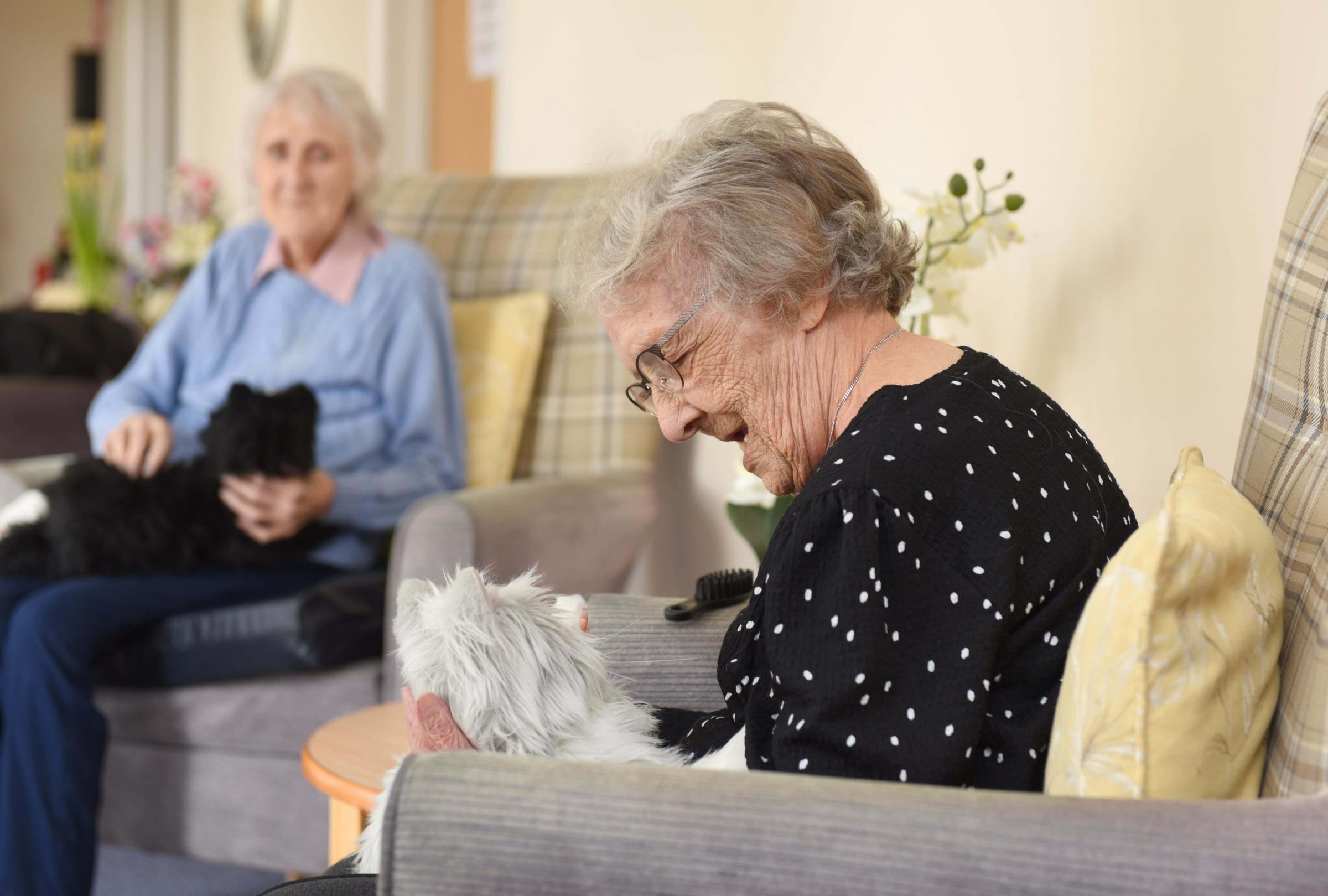 Pals - Joyce Ashton with one of the robotic animals which has brought joy to care home residents 