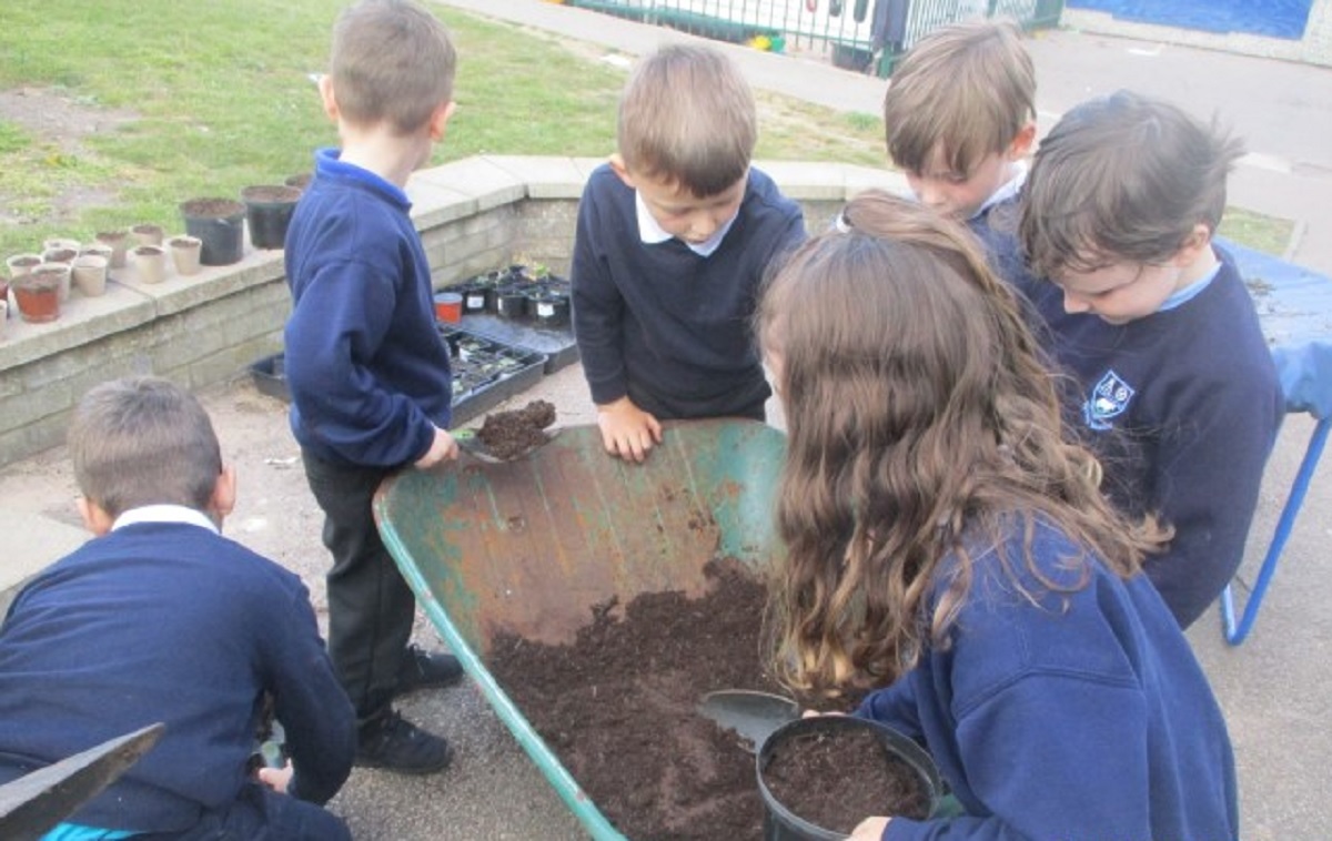 Hive of activity - Year 1 children planting seeds to entice the bees