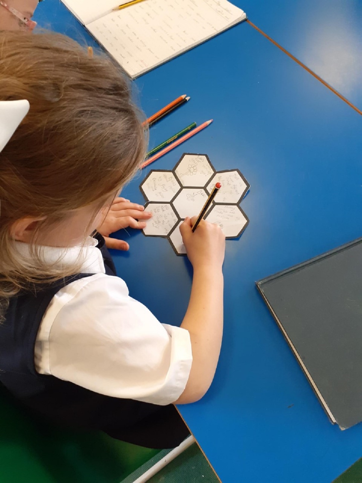 Spreading her wings - Georgina Smith, in Year 3, writes up facts about bees