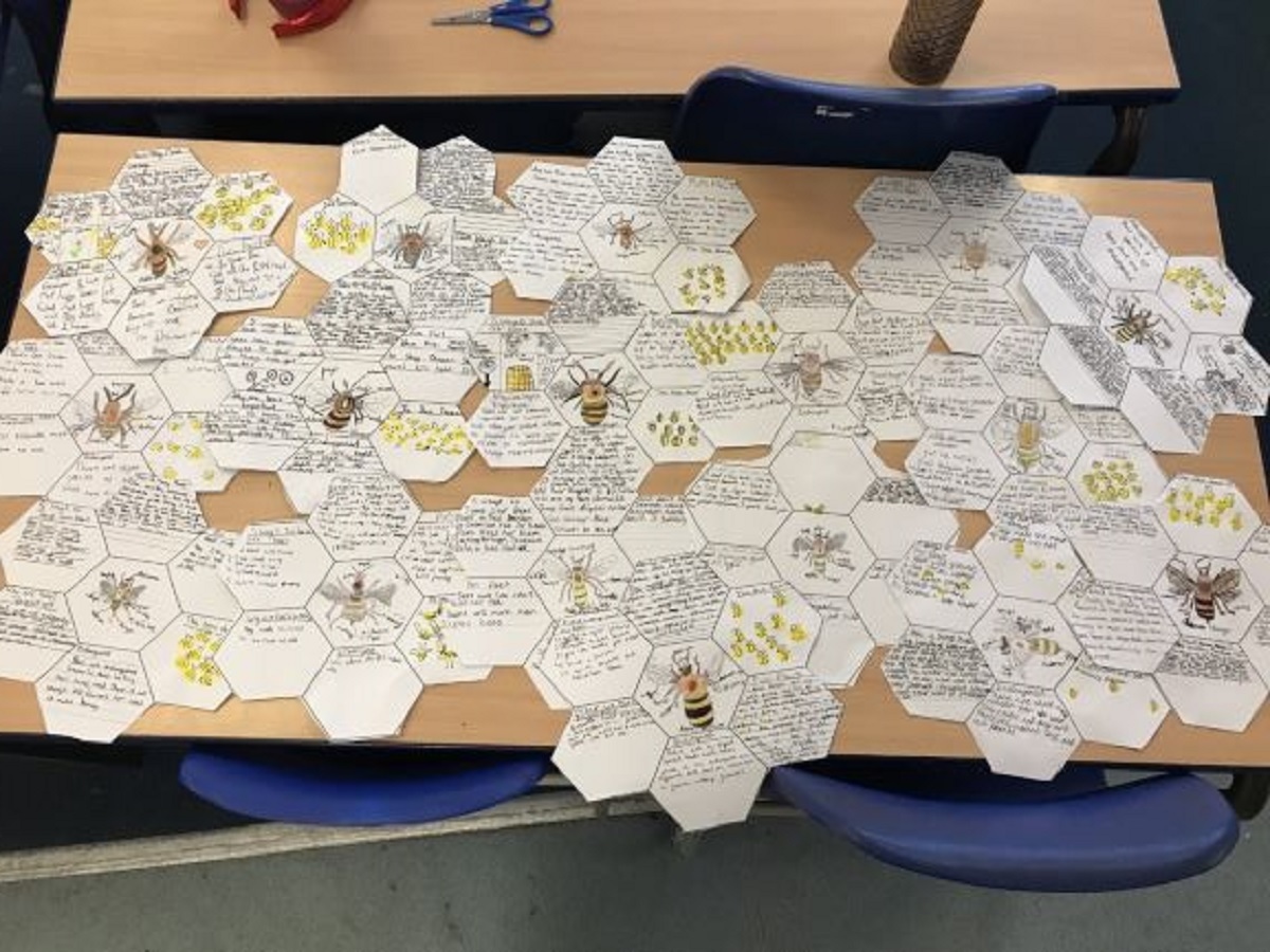 Class fact - these written facts about bees were collated by children in Year 5