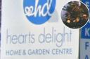 Recruiting - Hearts Delight Home & Garden Centre are bringing in Elves for the festive period