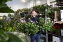 London based flower market wholesaler to launch regional hub in Lye