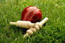 Mistley set to start nets sessions