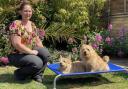 Expert - Joe Nutkins who has launched National Pet Tricks Day on Thursday with her dogs