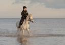 Adventurous - horse rider travelling through the sea waves