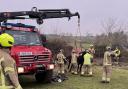 Horse rescue: firefighters rescuing the horse in Ramsey