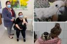Pals - Charlie Fenner, 37, and Amy Lee, 30, rescued almost 300 wild birds last year