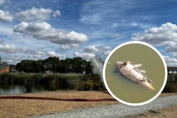 Loss of fish - Canvey Lake closed for fishing