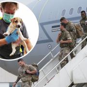 Rescue - Troops land home from Kabul and (inset) Pen Farthing with one of the dogs from his rescue centre. Picture: PA