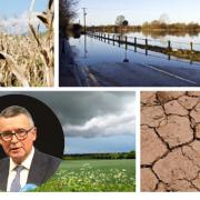 MP Bernard Jenkin will be showing a film about the desecration of the planet
