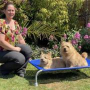 Expert - Joe Nutkins who has launched National Pet Tricks Day on Thursday with her dogs