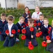 Creative - Pupils from Lawford C of E primary school with the poppies. Picture: City and Country