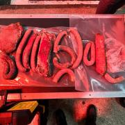 Seized- Illegal pork products seized by SCPHA