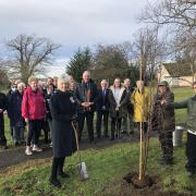 Going green - Jennifer Tolhurst, His Majesty’s Lord Lieutenant of Essex, planted a tree at Mistley's Acorn Village as part of The Queen’s Green Canopy scheme