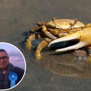 Concerned - Sir Bernard Jenkin spoke about the mass deaths of crabs.