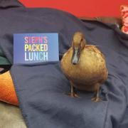 Quacking  - Echo appeared on Steph's Packed Lunch to show off her tricks