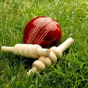 Mistley set to start nets sessions