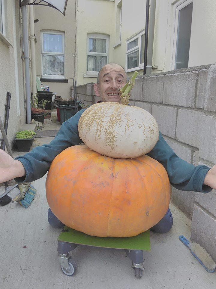 Giant - Home grown pumpkins