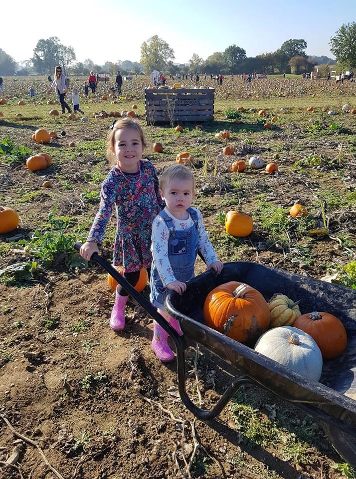 Picking - Amelia, 4, and Amber,1, pumpkin picking